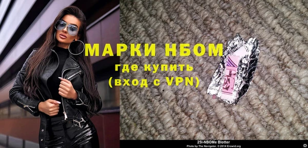 шишки Абаза