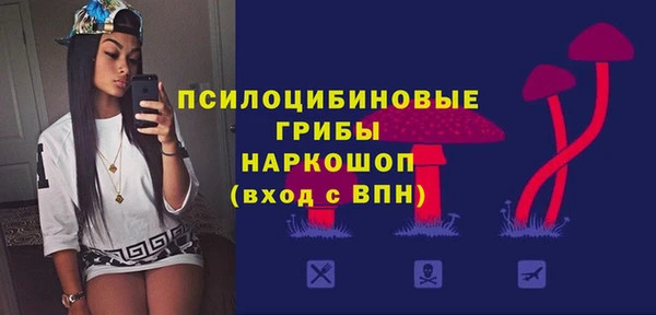 шишки Абаза