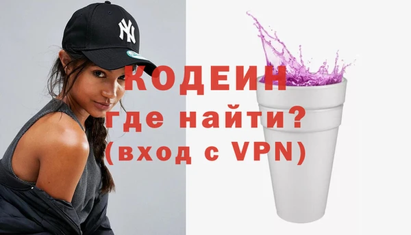 шишки Абаза