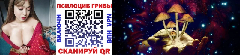 Галлюциногенные грибы Cubensis KRAKEN зеркало Донской